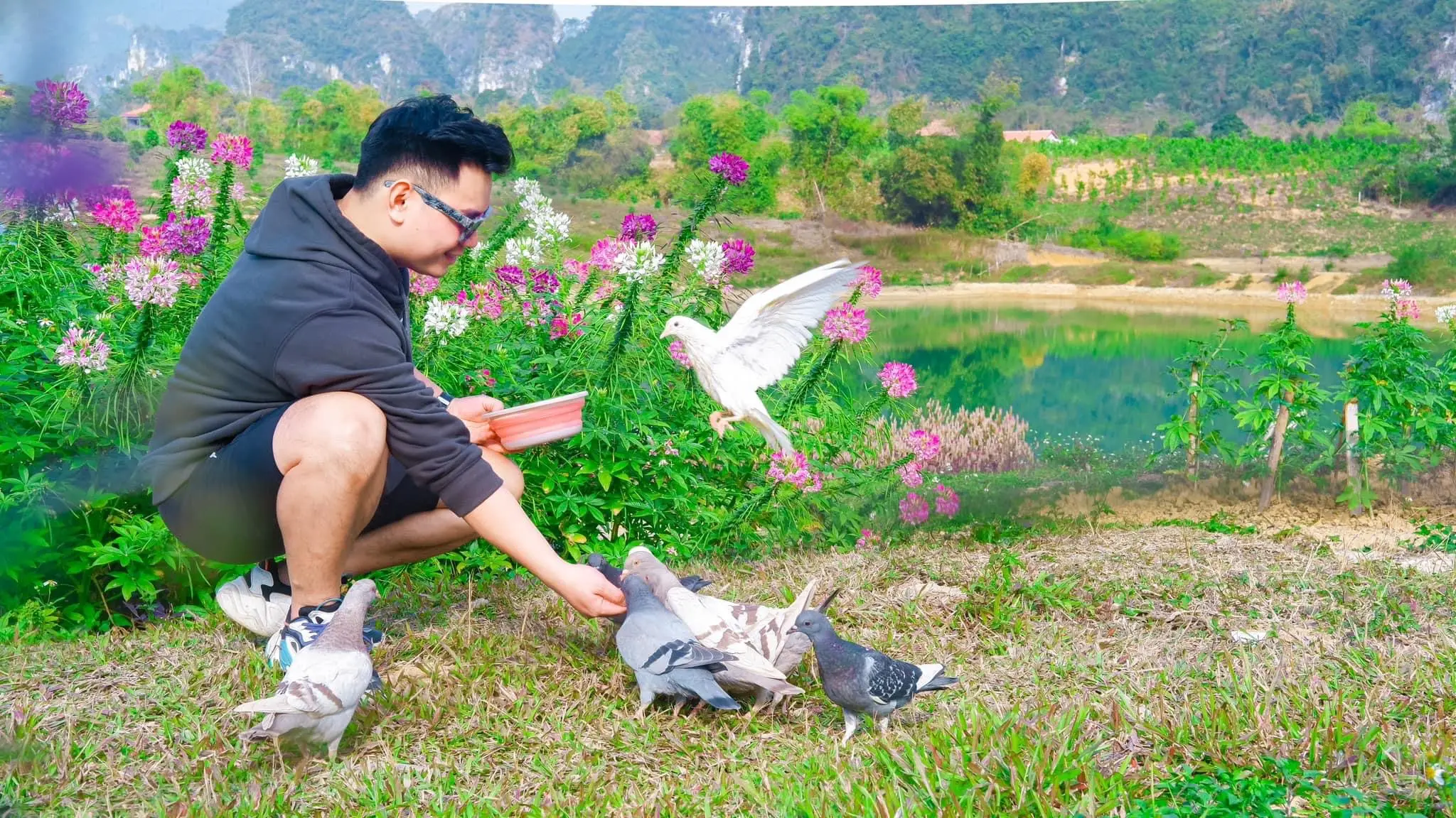 Khu vườn trong khuôn viên Michi Camp